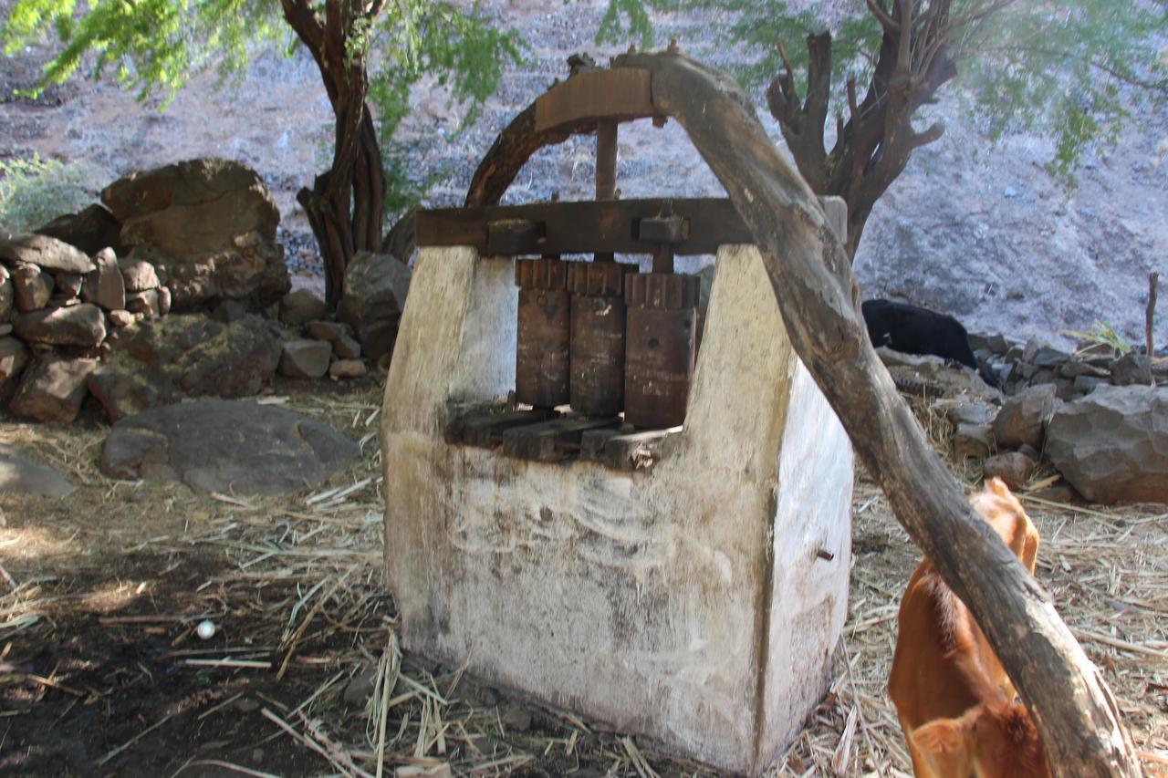 Pousada Quinta Ribeirinha Cidade Velha Εξωτερικό φωτογραφία